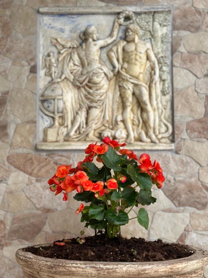The Odyssey Holiday Home - Agios Ioannis, Pelion Agios Ioannis  Dış mekan fotoğraf